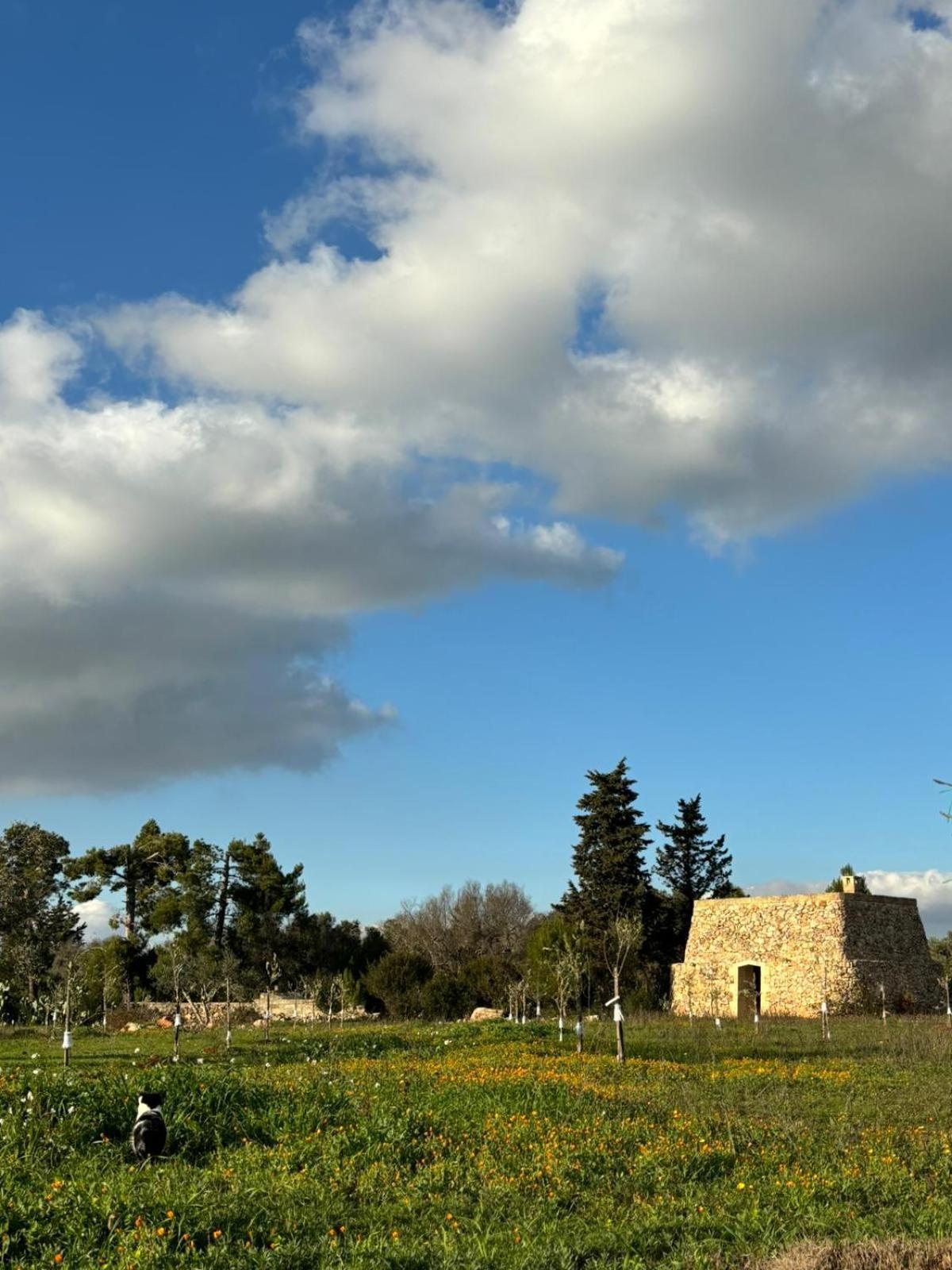 Aparthotel Badia San Michele Pajara Aida Tuglie Exterior foto